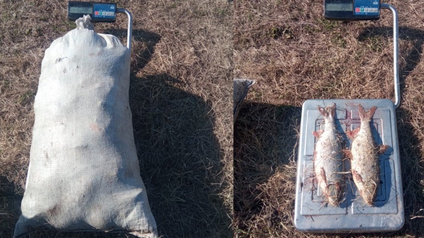 Вывозили мешками: на севере Омской области поймали браконьеров-«оптовиков»