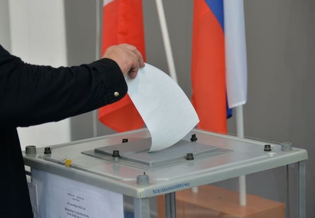 выборы