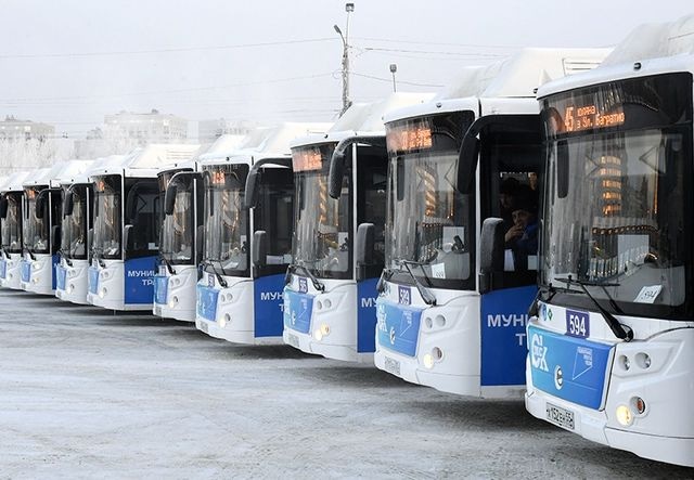 автобусы_зима