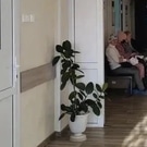 поликлиника БСМП №2: Поликлиника
