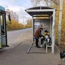 автобус_остановка_осень: общественный транспорт, автобус