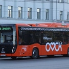 автобус: транспорт