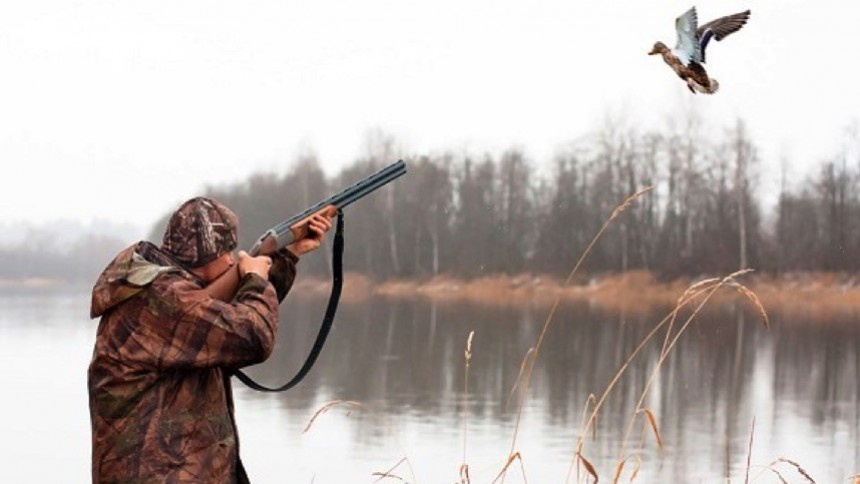 В районах Омской области запретили охотиться 